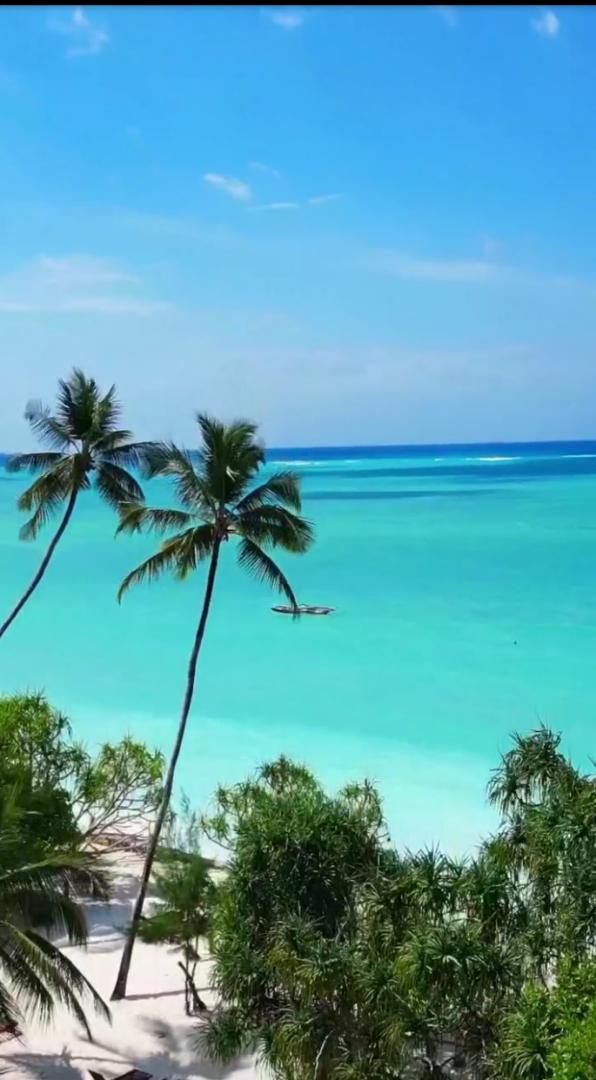 Zanzibar Beach